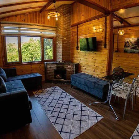 Chalet Sapancavineyardhouse Sapanca