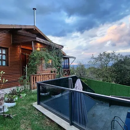Sapancavineyardhouse Chalet