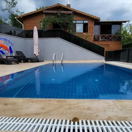Chalet Sapancavineyardhouse Sapanca